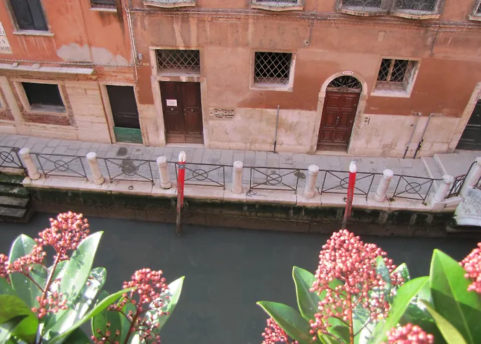 سبلينديد فينيس - ستارهوتيلز كوليزيوني